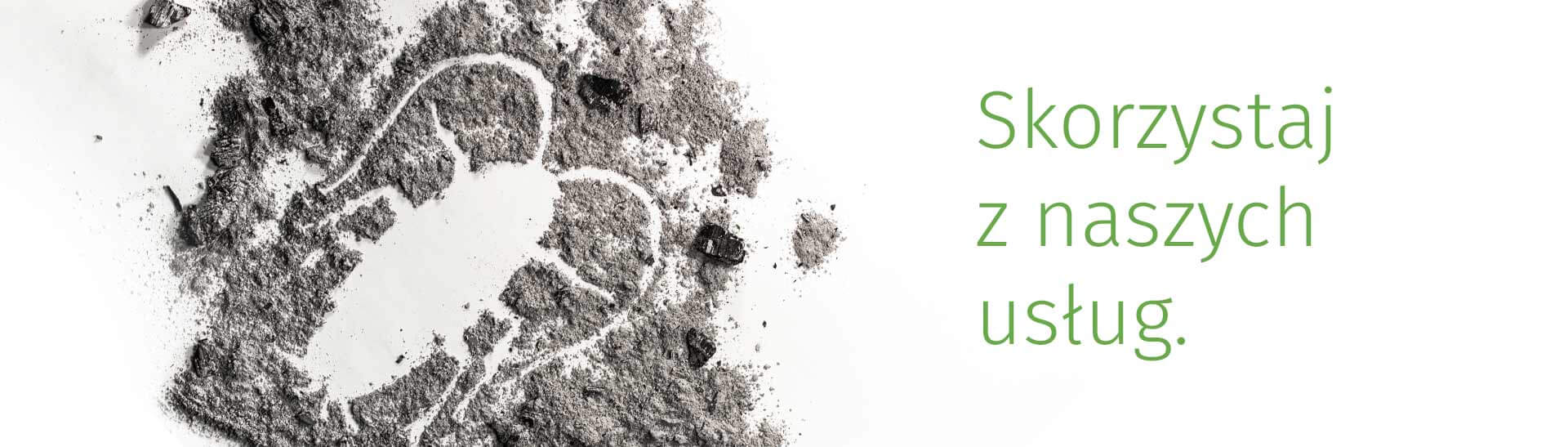 Skorzystaj z naszych usług – dezynsekcja